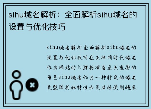 sihu域名解析：全面解析sihu域名的设置与优化技巧